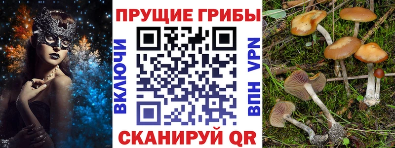 Псилоцибиновые грибы MAGIC MUSHROOMS  дарк нет как зайти  Анива 