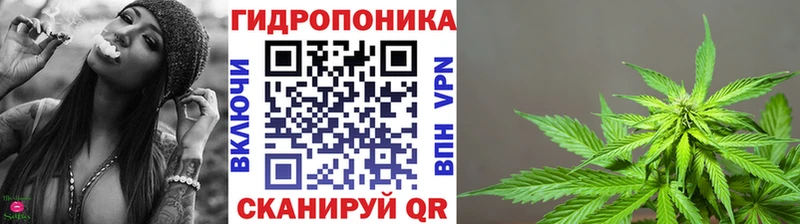 МЕГА ТОР  Анива  Каннабис сатива 